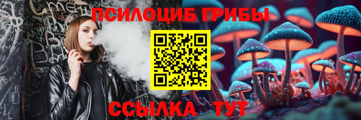 Волжский  Псилоцибиновые грибы Cubensis  Вход с VPN  Псилоцибиновые грибы Magic Shrooms 