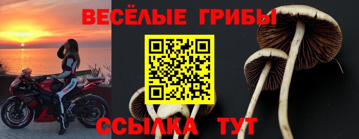 Псилоцибиновые грибы Psilocybe Волжский